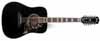 Ibanez  684.12 12-string Gibson Hummingbird lawsuit copy